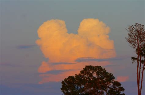 Mickey Mouse Cloud Flickr Photo Sharing