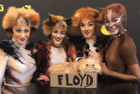 Etsi parhaat ilmaiset videot aiheesta cats broadway cast 2016. 'CATS' box-office record caps purrrfect week in Denver ...