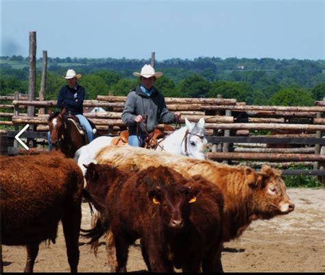 Country Pony Ranch Ygrande