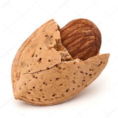 Almond Nut In Shell Stock Photo By ©natika 123252030