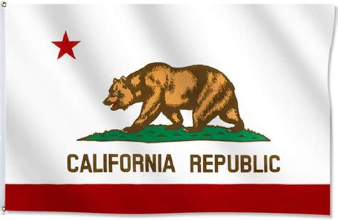 California Flag 3x5 Ft California State Flags Polyester