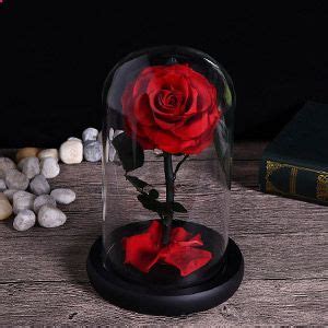 Red Rose In Glass Jar Beauty And The Beast Rose In Glass Dome Forever Rose Preserved Rose