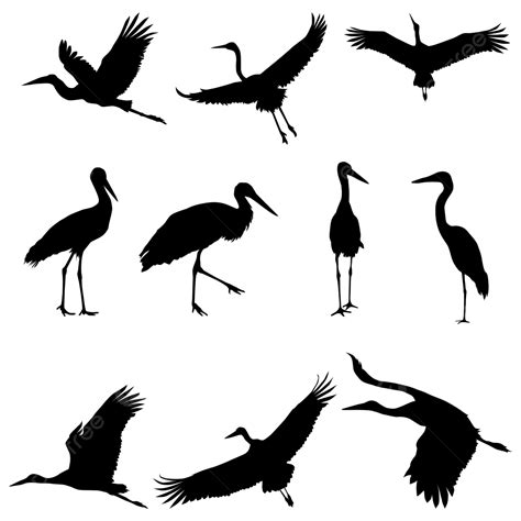 Stork Silhouette Png Transparent Group Of Storks Silhouette Crane