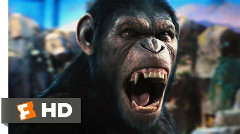 What happened between the 'rise' and 'dawn of the planet of the apes'? The Prequel Planet of the Apes Trilogy Is a Diamond in the ...