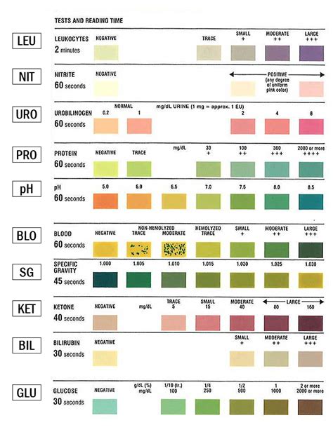 Urinalysis Test Strips Results Chart