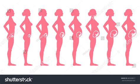 Pregnancy Stages Side View Female Silhouette Stock Vector Royalty Free 685908817