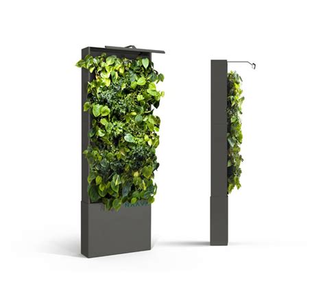Naava Green Wall Office Inhabitat Green Design Innovation