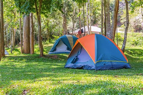 Opinion The Glories Of Gay Camping