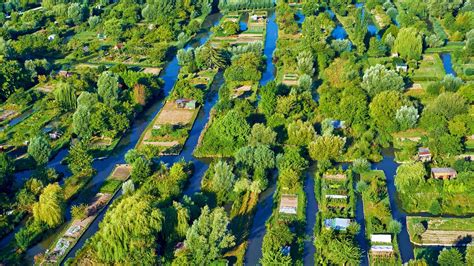 France Bourges Swamp 2020 Bing Desktop Preview