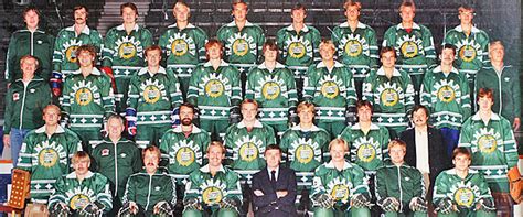 Most popular hd wallpapers for desktop / mac, laptop, smartphones and tablets with different resolutions. Hammarby Hockey