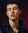 Shawn Mendes on His Make-or-Break New Album