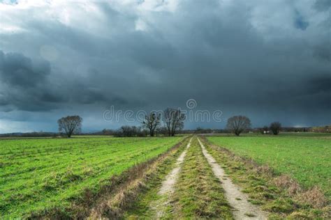 Spring Storm Clouds And A Dirt Road Through Green Fields Stock Photo