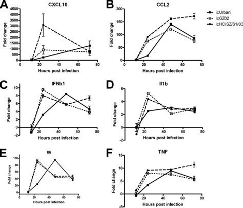 Confirmation Of Select Gene Expression Results Using Rt Pcr Download Scientific Diagram