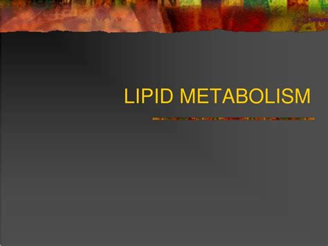 Ppt Lipid Metabolism Powerpoint Presentation Free Download Id237194