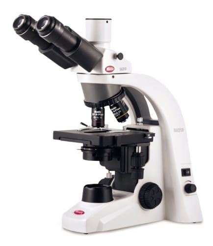 Bright Field Microscope Facts And Faqs Microscope Club