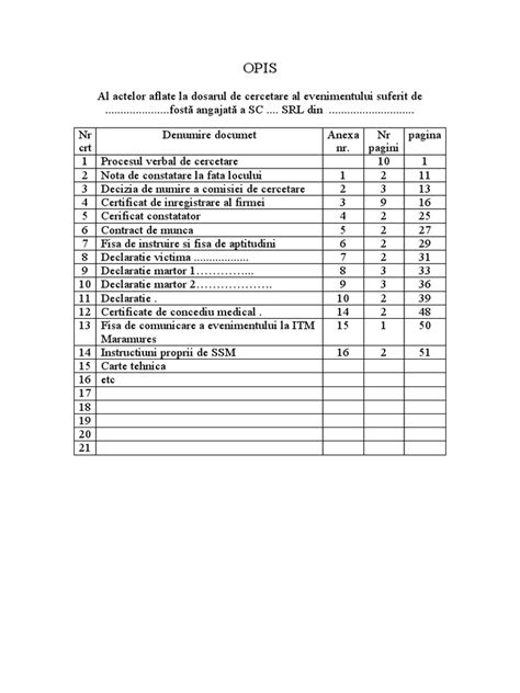 Model Opis Dosar Acc Pdf