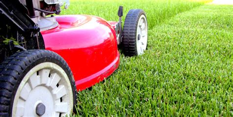 Cutting the grass isn't for teenagers anymore. How to Start a Lawn Service Business : PowerHomeBiz.com