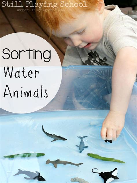 Water Play Sorting Land And Water Animals Space