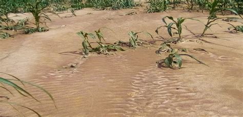 Floods Farmers Compile Losses Access Fresh Funding Inputs