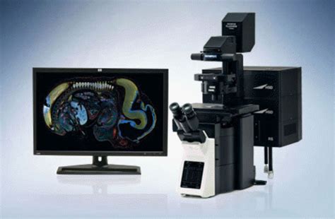 Microscópio Confocal De Varredura A Laser Fv3000 Olympus Microscopy