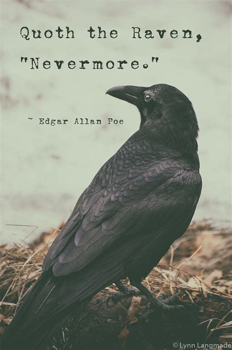 View our entire collection of raven quotes and images that you can save into your jar and share with your friends. Typography Prints raven quote print poe poem raven art | Etsy | Raven quotes, Raven art, Quote ...