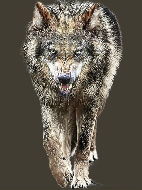 Wolf Prowling T Shirt By Badcatg Redbubble