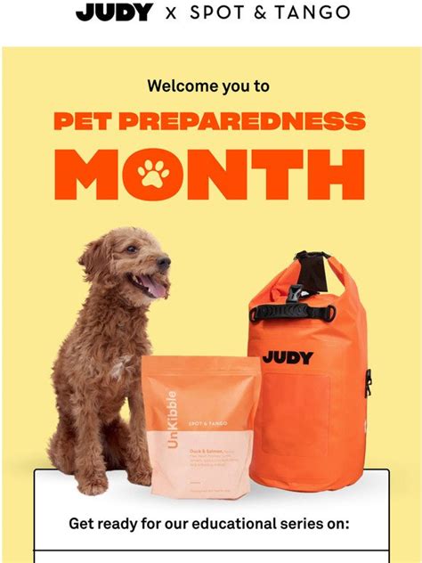 Judy Prep Inc June Is National Pet Preparedness Month Milled