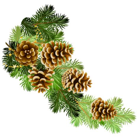 Pine Cone Transparent Background Png Png Arts