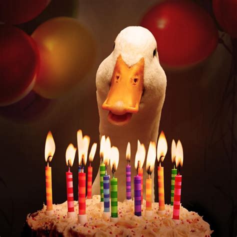 Aflac On Twitter Aflac Duck Funny Happy Birthday Images Cute Ducklings