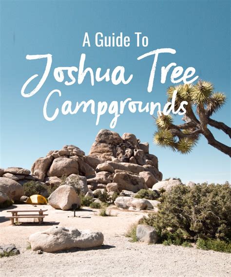 A Guide To Joshua Tree Campgrounds Nattie On The Road