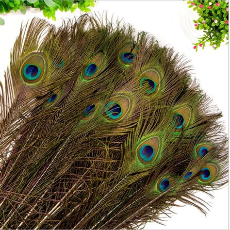 100pcs Lot Natural Peacock Feather 10 12 Inch Plumes