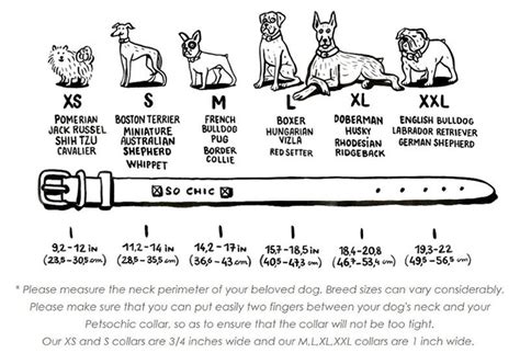 Dog Collar Size Chart Cm Ubicaciondepersonascdmxgobmx