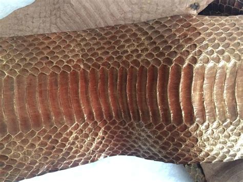 Genuine Brown Color Snake Leathers Natural Snake Skins In Genuine