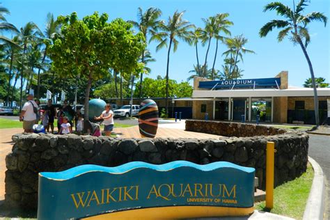 Waikiki Aquarium Information Photos And More Oahu Hawaii