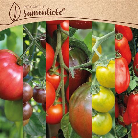 Bio Tomaten Samen Set Historische Sorten Tomaten Pflanzen Bio Gem Se