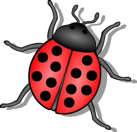 Free Insects Cliparts Download Free Clip Art Free Clip
