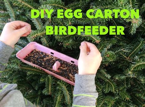 Composters, hydroponic boxes, frames & boxes, terrariums Upcycled Egg Carton Bird Feeder: An Eco-Friendly DIY ...