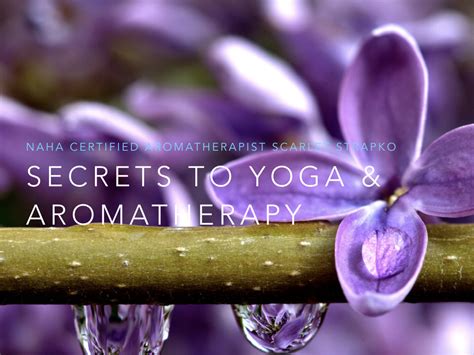 Secrets To Enhancing Yoga Practice With Essential Oils Essential Oils And Healthy Lifestyle