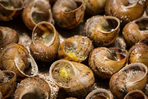 Caragols Traditional Snail Dish From Catalonia Spain