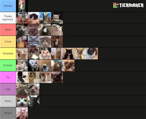 Meme Cats Tier List Community Rankings Tiermaker