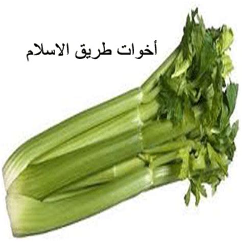 خبز توست أبيض 279 5. من بلدي و بلدك - الطيّبات - أخوات طريق الإسلام