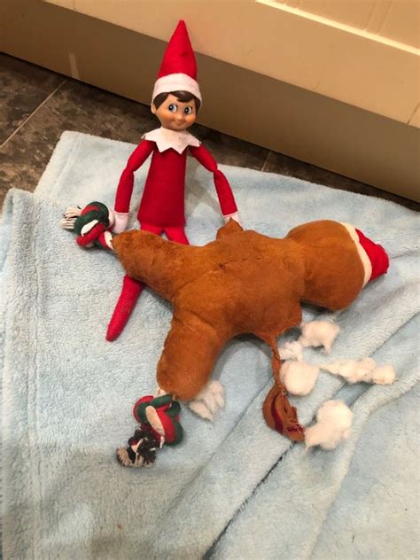 16 Hilarious Elf On The Shelf Ideas To Try This December North Wales Live