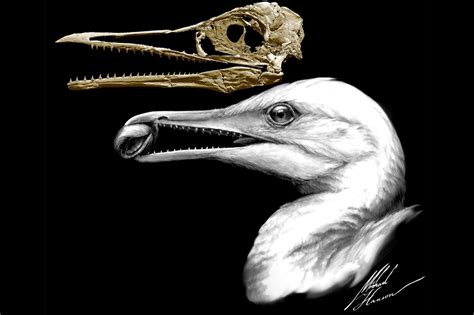Fossil Discovery Shows Ancient Creature Was Half Bird Half Dinosaur