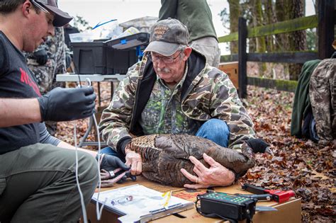 The National Wild Turkey Symposium Gathering The Greatest Minds In