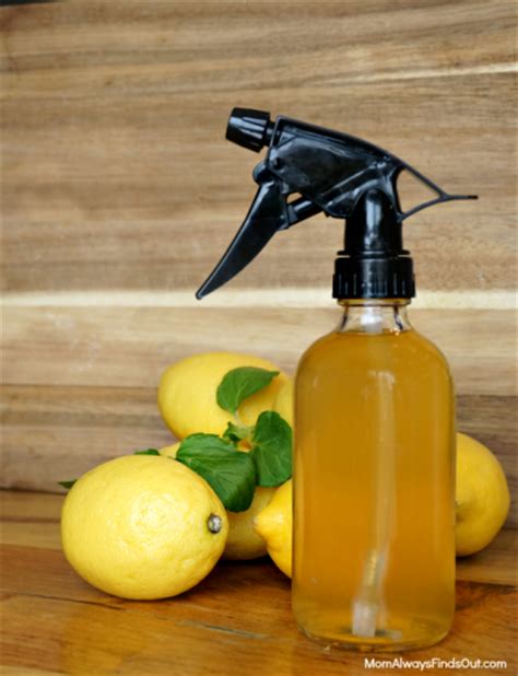 White vinegar, or spirit vinegar, is obtained by fermentation of distilled alcohol. How To Make Citrus Vinegar For Cleaning (All Purpose and ...