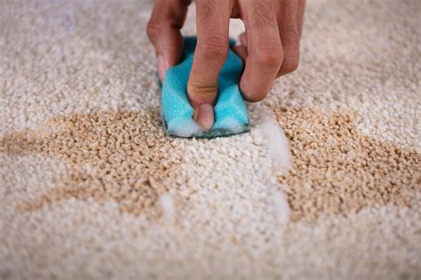 This Is How to Remove Old Stains From Carpet