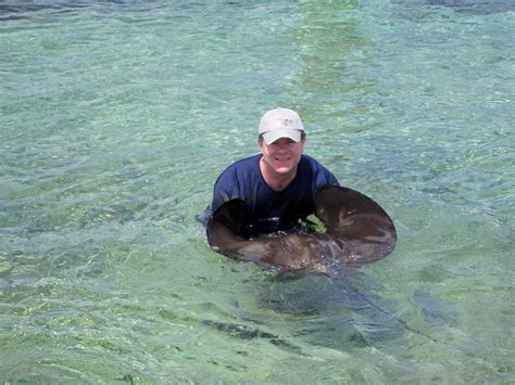 Swimming With Stingrays Cozumel Mexico Cozumel Mexico Swimming