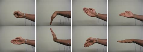 Static Hand Gestures Chosen For Controlling The Robotic Arm Each