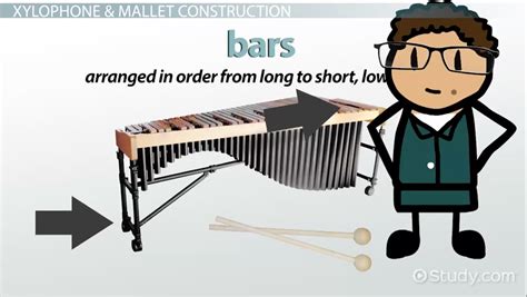 xylophone history and facts video and lesson transcript