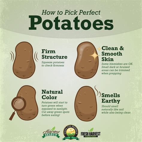 How To Pick Perfect Potatoes Eagle Eye Produce